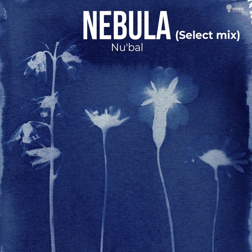 Nu'bal - Nebula (Select Mix) [ADR509]